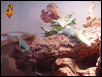 Green Tree monitor setup