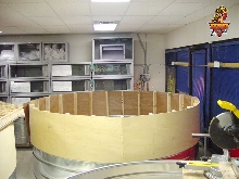 10 ft monitor cages
