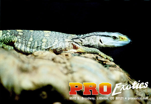 Ionides Monitor