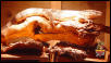 Ionides basking