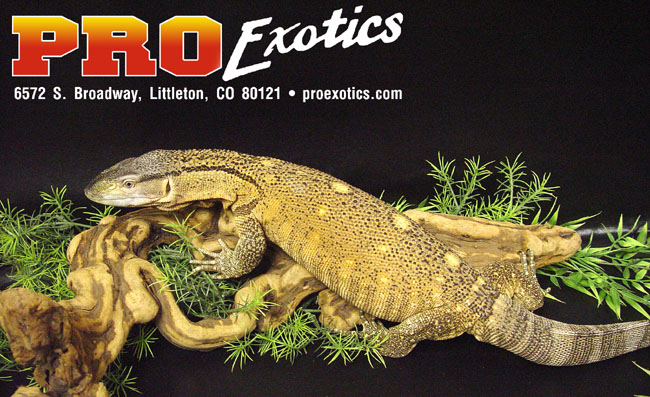 Ionides Monitor