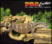 Ionides Monitor