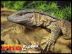 Ionides Monitor