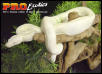 Snow Boa