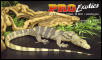 Sulfur Water Monitor