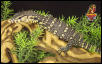 Water Monitor u.s.c.b. 02