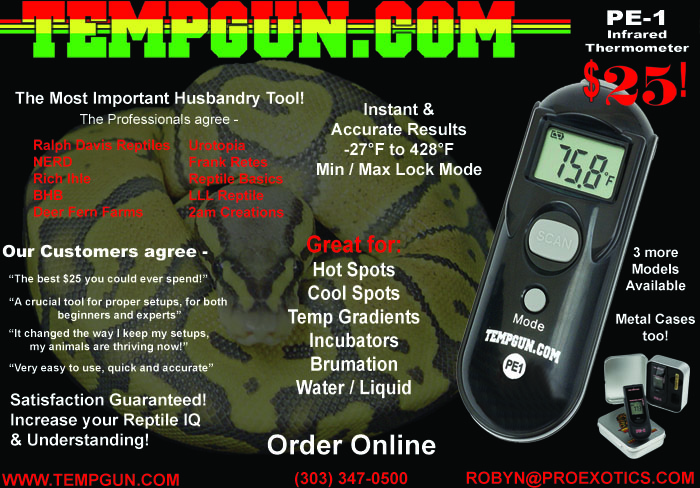 Tempgun ad pic