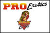 PE logo