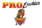 PE logo