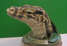 Water Monitor sculpture