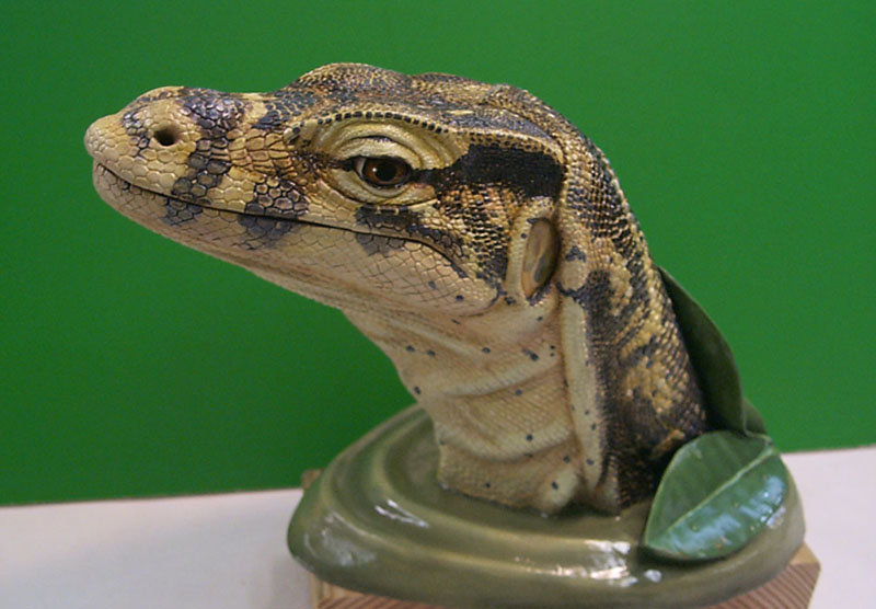 Water Monitor sculpture
