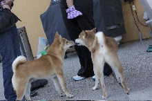 Cody&Malo