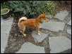 Cody Side in Yard