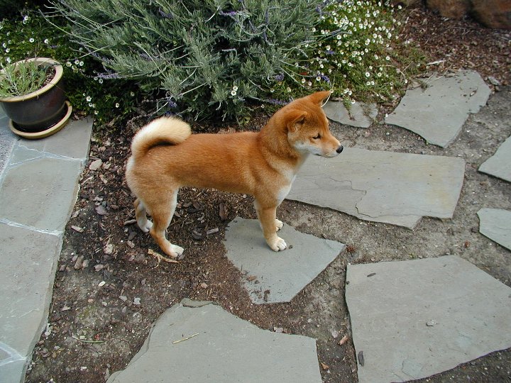 Cody Side in Yard