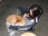 Cody on lap