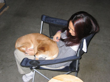 Cody on lap