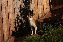 Cody Yard 2