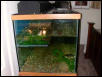 Turtle Tank Left Side