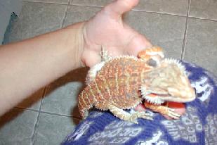 Ralph