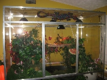 My enclosure