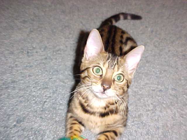 gonna have green eyes