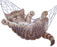 bengalhammock