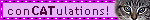 concatulations