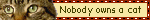 nooneowns