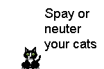 spaypep