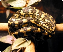 Queensland