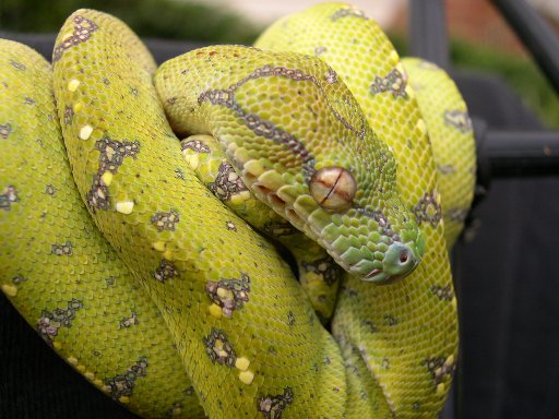 GTP 03114