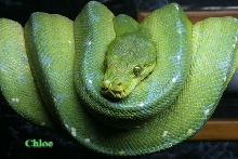 Pretty girl