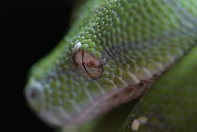 Here's lookin' at you!