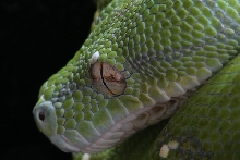Taking a closer look...