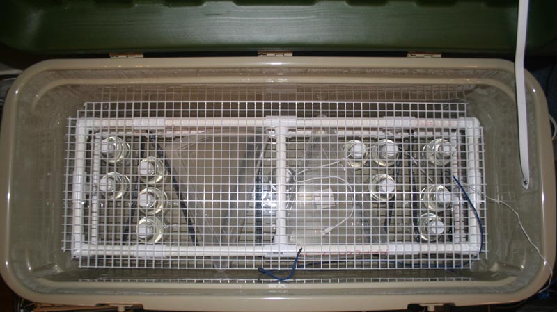 chondro incubator