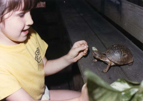 My summer pet from long ago...