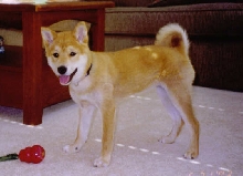 More Kaia