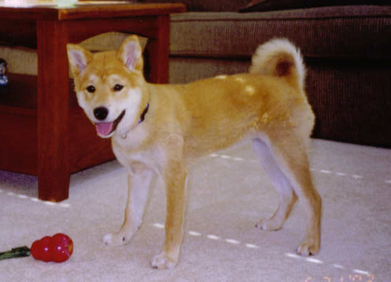 More Kaia