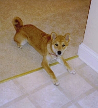 kaia4