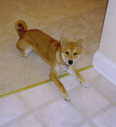 kaia4