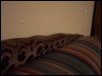 OzzyBackBodyCouch