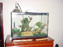 bp tank