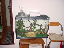 tank