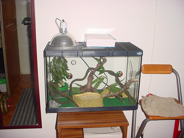 tank