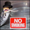 No Smoking