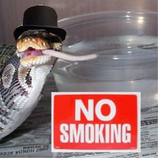 No Smoking