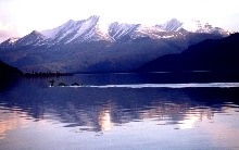 Ogopogo