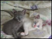 Ella and Toby