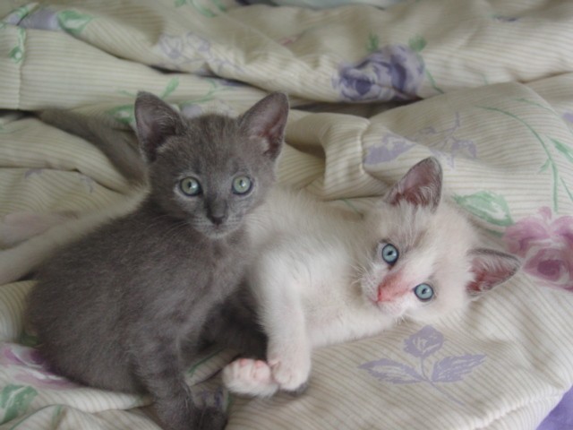 Ella and Toby