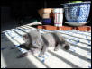 Ella soaking rays